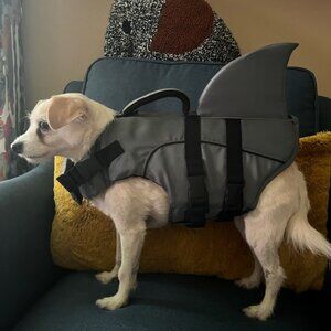 Top Paw Neoprene Dog Life Jacket Dolphin Fin